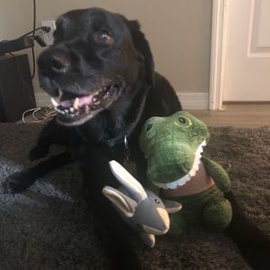 Meet your Posher, Steven